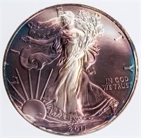 Coin Rainbow Toned 2011 $1 Silver Eagle