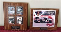 L-DALE EARNHARDT COLLECTIBLE WALL HANGINGS