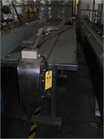 STAINLESS STEEL POWERED CONVEYOR 6 in X 20 ft.