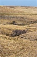 Symphony in the Flint Hills 2016 Prairie Photography Auction