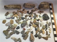 Petrified wood Indian artifact pieces and parts