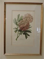 Pair of prints by G.Spaendonck