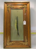 ***Framed Art - circa 1900 Fish Rendering