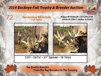 2015 Buckeye Fall Trophy Auction