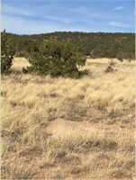 WINDING WATER RANCH PARCEL / TRACT