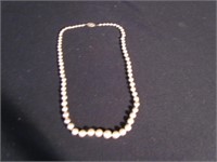 Pearl Necklace