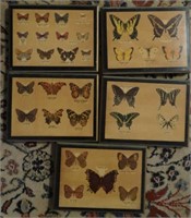Lot of 5 Butterfly Wall Panels