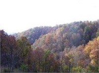 70 acres over looking Cumberland River in Kentucky