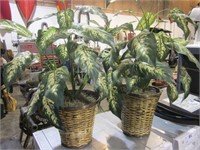 2-artifical plants in baskets