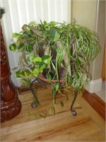 Live Potted House Plant with Stand