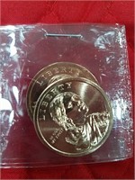 2013 P-D-S minted Sacagawea dollars