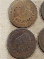 13 Indian Head pennies dating from 1888 to 1906