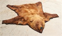 Exotic Taxidermy Auction