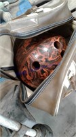 Bowling ball with case