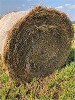 1st Crop Grassy Hay- FIELD 2