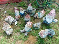 (12) Gnomes