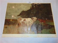 Cow in Water Picture - Edward G. Sieber