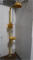 Bradley Safety Shower Unit