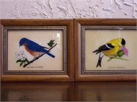Bird pictures reverse hand paintings on glass