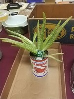 Crabmeat Cans With Plants