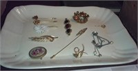 Jewelry - plate w stickpins, brooches