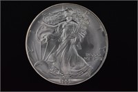 1991 BU Silver Eagle