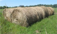 (10) 2019 1st Crop 5ftx6ft Grass/Hay Round Bales