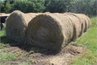 (10) 2019 1st Crop 5ftx6ft Grass/Hay Round Bales