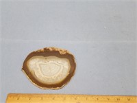 Beautiful tan agate slab, 5.25" wide