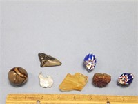 Lot with Megalodon sharks tooth, amber specimen, 2