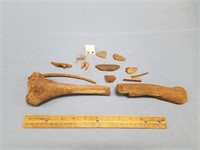 Lot of fossilized bone pieces and ivory pieces