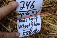 Straw-Lg. Squares-Wheat-Illinois