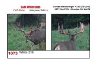 Ohio Fall Trophy & Breeder Auction