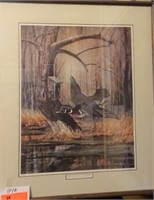 R.J. McDonald "Summer Duck Hideaway" Framed Print