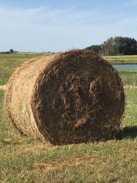 Online Only Hay  Auction