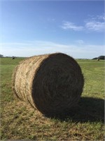 Five Alfalfa/Brome Round Hay Bales1200 lbs plus