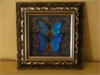 Shadowboxed Butterflies