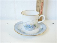 Wiuterliug Roslau Bavaria Tea Cup, Hand Painted