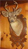 7 pt buck mount on carved oak back,