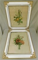 Jean Louis Prévost Botanical Prints.