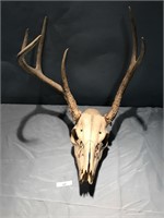 DECORATIVE DEER HEAD