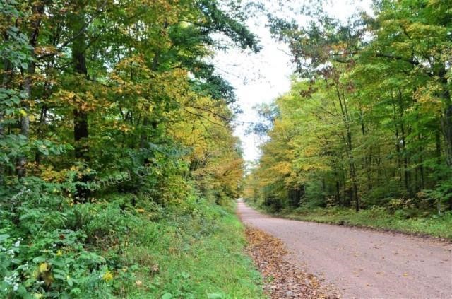 120 Acre Marathon County WI Land Auction