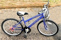 Blue Pacific Mountain Bike (16-10438)