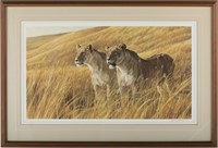 Robert Bateman's "African Amber - Lioness Pair" Li