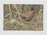 Robert Bateman's "Strutting - Ring-Necked Pheasant