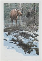 John Seerey-Lester's "Hidden Admirer - Moose" Limi