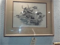 The Master framed signed stag print D. Noel Smith