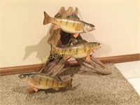 Perch mount taxidermy 14" Fish & 12" on driftwood