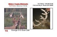 Orange 513 Trophy Buck