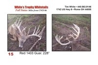 Red 1403 Trophy Buck